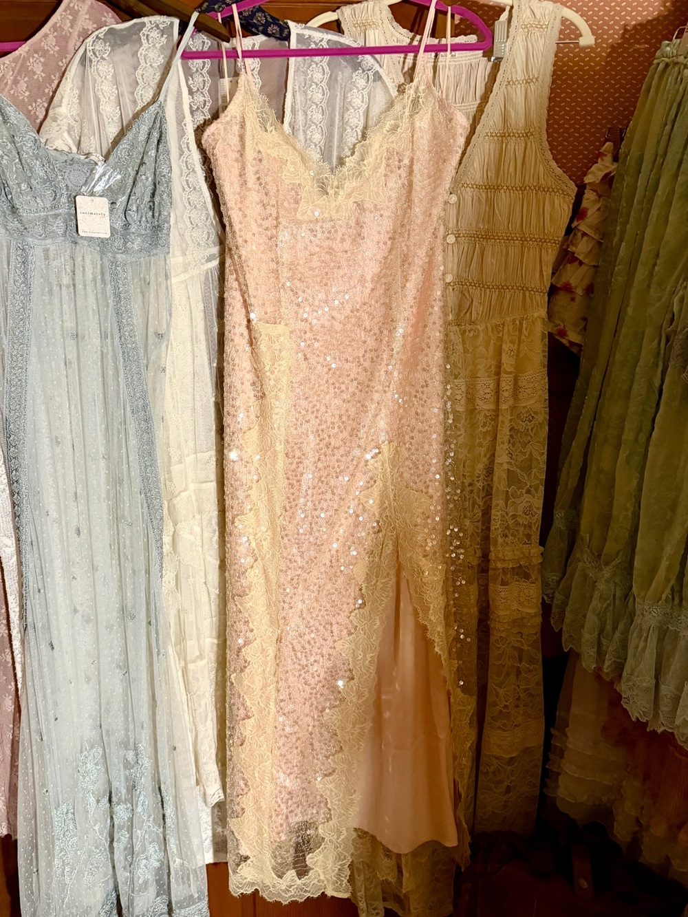 Anthropologie ~ En Elly Lace Sleeveless Sequin Slip Midi Dress